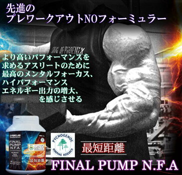 送料無料 ファインラボ ファイナルパンプ 国産 必須アミノ酸 筋トレ バルクアップ アンチカタボリック トレーニング サプリメント 野球 ボディメイク FINELAB 女性 ラグビー アメフト ボディビル