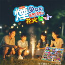 煙少なめ 手持ち花火 煙少ない 花火セット 手持ち花火 花火大会 大量 たくさん 景品 子供会