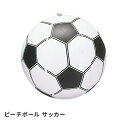 ビーチボール サッカー ボール 海 川 プール ビーチバレー 浮き輪 海水浴 海 子供 こども 夏の ...