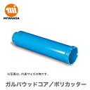 ミヤナガ 乾式ドライモンドコアドリル/ポリクリックシリーズSDSシャンクセット品 160mm PCD160R