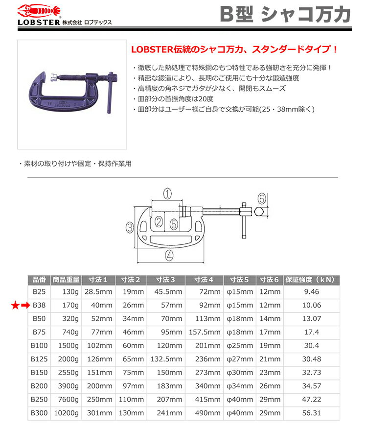 �ڿ��ʡۡڿ��̸���ۡҥ��֥ƥå����ӥ��㥳���ϡ�B38