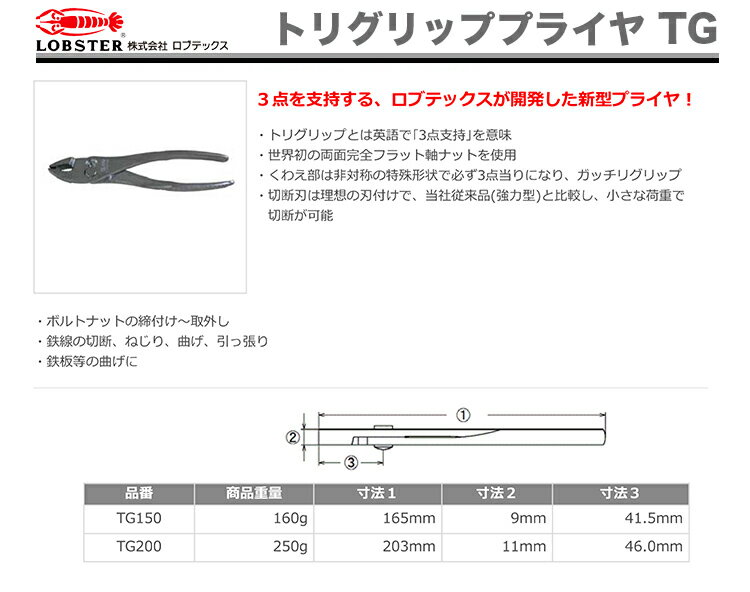 �ڿ��ʡۡڿ��̸���ۡҥ��֥ƥå����ӥȥꥰ��åץץ饤�䡡TG200