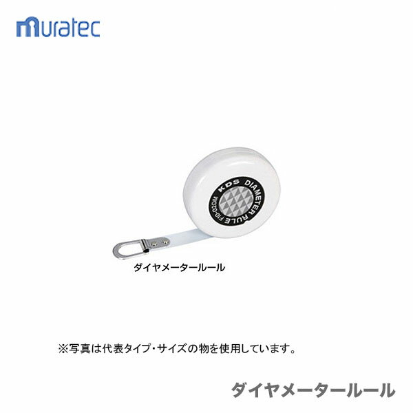 〈KDS〉ダイヤメータールール F10-02 DM P