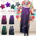 【送料無料】洗える 女性用 袴（桜 刺繍入り ぼかし女袴 10647）単品 卒業式 謝恩会 レディース袴 シンプル パーティー はかま 行灯袴【沖縄配送不可】