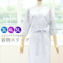 【メール便送料無料】着物スリップ【大き目サイズ 3L・4L・5L】14606 和装下着 ワンピース 肌着 深い衿ぐり 礼装 着付け きもの ゆったり 大きいサイズ【沖縄配送不可】