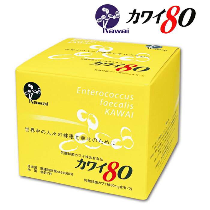 Kawai カワイ80 乳酸球菌カワイ株　80mg含有/包　100包入り　乳酸菌 河合康雄 河合乳酸球菌 Kawai80 送料無料 正規代理店 カワイ株 1