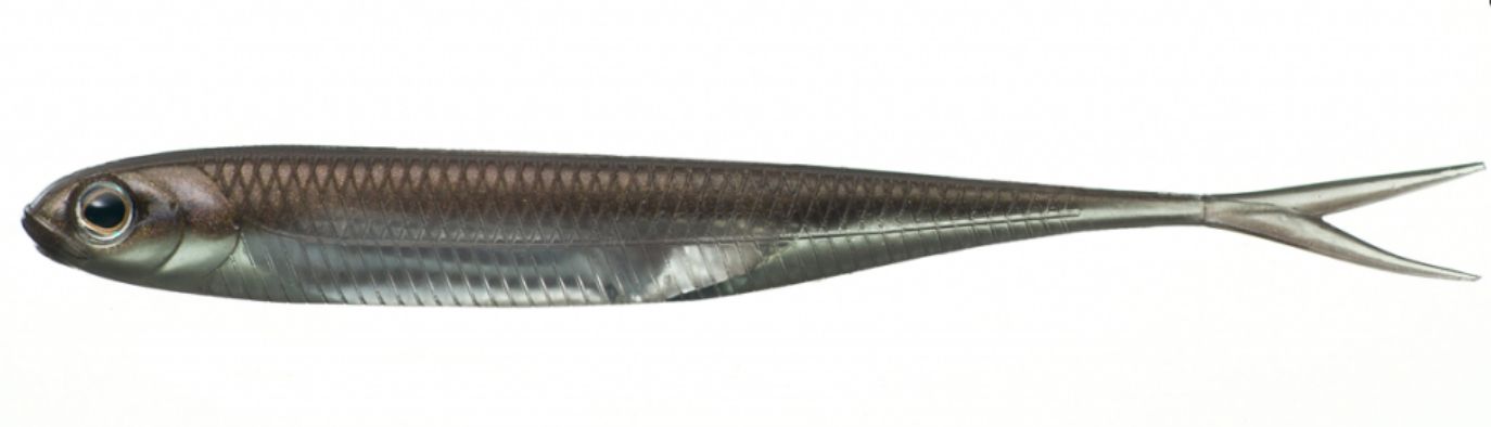 樂天商城 - フィッシュアロー Fish Arrow フラッシュJ スプリット 3インチ Feco トーナメント Flash-J SPLIT
