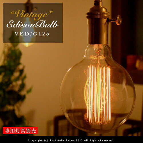 ビンテージエジソン球 VINTAGE EDISON BULB [Globe G125] E26/60W カーボン電球 レトロ アンティーク フィラメント 電球 お洒落 照明 (l) 可愛い 玄関 階段 廊下 トイレ 店舗デザイン エジソンバルブ グローブ カーボン 口金 ツイストブラウンコード別売(2-2