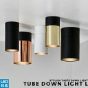 [TUBE DOWN LIGHT L：チューブダウンライト L][ARTWORKSTUDIO：アートワークスタジオ] シーリングランプ ダウンライト LED対応 スチール 1灯 ミニマル 内玄関 トイレ 洗面 北欧 おしゃれ インダストリアル ダイニング 間接照明 天井照明 キッチン リビング 照明 (CP4 (PX10