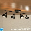 HARMONY GRANDE ハーモニーグランデ remote ceiling lamp 4灯 シーリングライト スポットライト 照明 ライト おしゃれ リモコン リビング用 居間用 ダイニング用 食卓用 北欧 モダン ナチュラル インダストリアル 西海岸 ARTWORKSTUDIO アートワークスタジオ (CP4 (PX10