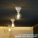 Adam ceiling light アダムシーリングライト シーリング照明 ダウンライト ARTWORKSTUDIO AW-0634 1灯 LED対応 ダウンランプ E26 60W ソケットのみ スチール 真鍮 引掛シーリング 簡単取付 玄関 廊下 洗面 トイレ おしゃれ 照明 ブラック ブラス グレー ホワイト (CP4 (PX10