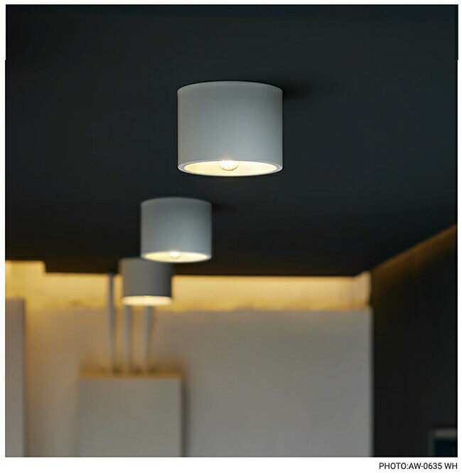 Eve ceiling light イブシーリ...の紹介画像2