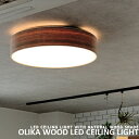 kfUC LEDV[OCg R  F 铔 rOp ԗp _CjOp Hp Q q 4.5 6 邢  Ɩ 킢 VƖ k i` _ a [OLIKA WOOD LED CEILING LIGHTFIJ] BRID (CP4 (PX10