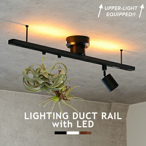 ȥ졼 饤ƥ󥰥졼 LEDܾ ȥ졼 LIGHTING DUCT RAIL with LED 饤ƥ󥰥ȥ졼 ⥳ 10ʳĴ  ʥȥ饤 ˥ ӥ Ҷ  ֥å ۥ磻 å  饤  (CP4 (PX10