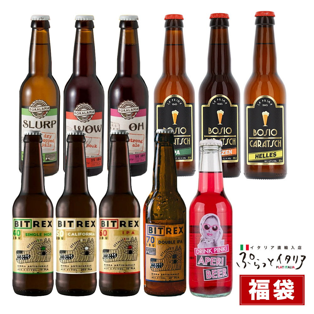 福袋 クラフトビール 10本セット+1本