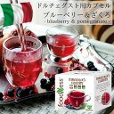 1種20杯 イタリア製 ドルチェグスト 互換 カプセル ブルーベリー＆ザクロ Foodness