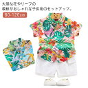 上下セット アロハシャツ 男の子 ビーチシャツ シャツ ショートパンツ 半袖シャツ リゾート セットアップ 2点セット ベビー 子ども キッズ 花柄シャツ 半袖 夏 子供服 綿 カジュアル ビーチ 海辺 可愛い 花柄 旅行 おしゃれ 80 90 100 110 120 送料無料