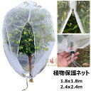 防虫ネット 植物保護カバー 園芸野菜栽培 防鳥ネット ファスナー付き 植物保護袋 野菜網 野菜栽培 園芸用ネット 防虫シート 防虫網 菜園 ベランダ DIY 果樹園 みかん プランター 虫鳥除け網 園芸用品 害虫 鳥対策 花壇適用の透明 1.8m*1.8m 2.4m*2.4m