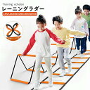 トレーニングラダー キッズフィットネス用 5m 4m 7m 8m はしごとロープセット トレーニング ラダートレーニング サッカー 陸上 瞬発力 持ち運び 軽量...