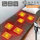 電気毛布 敷き 洗える 電気敷パッド 160×80cm 160x150cm 毛布 電気 シングル ダブル フランネル 電気敷き毛布 季節家電 電気毛布 敷きパッ...