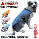 犬用 クールベスト COOLベスト 犬の服 冷感 冷却 お散歩用 熱中症対策グッズ 程よいひんやり感 涼しい