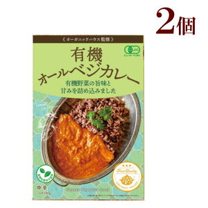 有機オールベジカレー　2個オーガニック 認証取得 化学調味料 合成着色料 合成保存料 全て不使用 レトルト カレー 大豆ミート