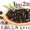 冷凍　大和しじみ　2Lサイズ　1kg × 2袋　冷凍シジミ