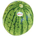 \最大全額Pバック!/ お中元 御中元 送料無料 果物 ギフト フルーツ すいか いずみ会の山形県産 尾花沢小玉スイカ 1玉 丸松青果 旬の 果実 高級 贈答用...