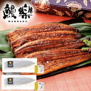 お中元 御中元 送料無料 惣菜 魚介 ギフト うなぎ ウナギ 九州産うなぎ 鰻 蒲焼 長焼 2尾 鰻楽 セット 詰め合わせ うな重 うな丼 丑の日 ごはんもの ...