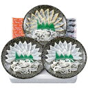 お中元 御中元 送料無料 海鮮 ギフト てっさ フグ刺し フグ ふぐ 河豚 関とら本店 ふぐ薄造り 刺身 刺し身 国近商店 セット 詰め合わせ 魚介 高級 惣菜 食品 グルメ 食べ物 お中元ギフト 2025 夏ギフト 贈り物 お返し 挨拶 お礼 会社 人気 おすすめ SK-50F2Z