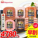 お中元 御中元 送料無料 早割 ハム ギフト セット ウインナー ソーセージ 詰め合わせ 詰合せ 日本ハム ニッポンハム 本格派ギフト 中元 夏ギフト お中元ギフト 食品 食べ物 グルメ お取り寄せグルメ 肉加工品 NH-519