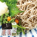 お中元 御中元 送料無料 蕎麦 ギフト 越前そば セット 詰め合わせ 日本そば そば 山芋そば 茶そば 山菜漬 そばつゆ 冷蔵 食品 お取り寄せ グルメ お中元ギフト 2025 夏ギフト 贈り物 お返し 挨拶 お礼 会社 人気 おすすめ