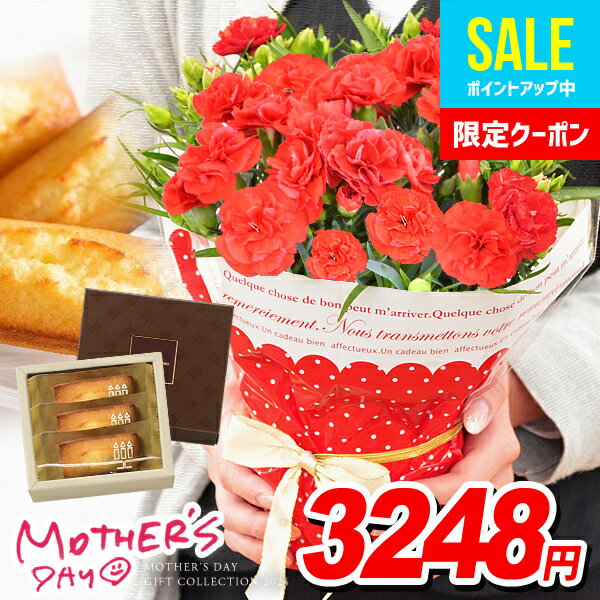 遅れてごめんね 母の日 2024 プレゼント 花とスイーツ 花とお菓子 セット カーネーション 鉢植え 4号鉢 アンリシャル…