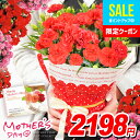 ＼完売間近★今だけP5倍 ／ 母の日 プレゼント 2024 カーネーション 鉢植え 4号鉢 花 ギフト お花 送料無料 母の日ギフト ははの日 早割 鉢花 花鉢 人気 ランキング おしゃれ 割引 安い