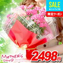 鉢 ＼完売間近!!／ 母の日 2024 プレゼント カーネーション 鉢植え 5号鉢 花 ギフト お花 送料無料 母の日ギフト ははの日 早割 鉢花 花鉢 人気 ランキング おしゃれ 割引 安い【クレジットカード・後払いのみ受付可】