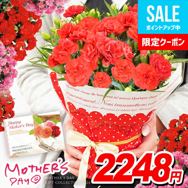 ＼完売間近!!／ 母の日 プレゼント 2024 カーネーション 鉢植え 4号鉢 花 ギフト お花 送料無料 母の日ギフト ははの日 早割 鉢花 花鉢 人気 ランキング おしゃれ 割引 安い【クレジットカード・後払いのみ受付可】