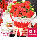 母の日 早割 プレゼント 母の日ギフト 送料無料 カーネーション 鉢植え 4号鉢 花 ギフト 鉢花 花鉢 2021 人気 ランキング おしゃれ 限定