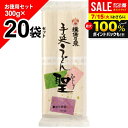 \最大全額ポイント還元/【揖保乃糸 うどん】送料無料 揖保の糸 手延うどん 聖 ひじり 20袋セット 300g×20袋 家庭用 粗品 景品 記念品 食品 食べ物 お取り寄せ(k-n)【のし・包装不可】