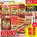 \最大全額ポイント還元/ お中元 夏ギフト 送料無料 早割 ハム ギフト セット ウインナー ソーセージ 生ハム 詰め合わせ 詰合せ 北海道 トンデンファーム 中元 御中元 暑中見舞い お中元ギフト 食品 食べ物 グルメ お取り寄せグルメ 肉加工品 TNB-605