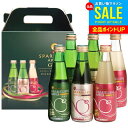 お中元 夏ギフト ジュース ギフト 出産 内祝い お返し 詰め合わせ 送料無料 シャイニー 青森県りんご りんごジュース スパークリングアップル詰合せ SP-B 6本入 御中元 暑中見舞い 炭酸飲料 結婚内祝い 出産祝い 出産内祝い 新築祝い 名入れ 快気祝い 香典返し プレゼント