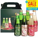 お中元 夏ギフト ジュース ギフト 出産 内祝い お返し 詰め合わせ 送料無料 シャイニー 青森県りんご りんごジュース スパークリングアップル詰合せ SP-B 6本入 御中元 暑中見舞い 炭酸飲料 結婚内祝い 出産祝い 出産内祝い 新築祝い 名入れ 快気祝い 香典返し プレゼント