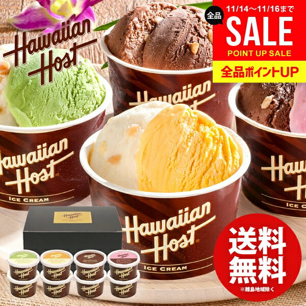 アイスクリーム スイーツ お歳暮 ギフト 内祝い お返し 送料無料 ハワイアンホースト マカダミアナッツチョコアイス 8個入 AH-HS 結婚内祝い 冬ギフト 出産内祝い 新築祝い 快気祝い 人気 お礼 プレゼント 食品 おしゃれ ひんやり