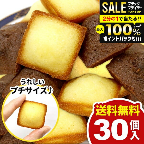 【メール便】 送料無料 スイーツ ギフト お菓子 洋菓子 焼き菓子 プチ フィナンシェ 2種 計30個 セット 詰め合わせ 個包装 訳あり 大容量 1000円 お徳用 ポイント消化 ひとくちサイズ 簡易包装 おやつ デザート お礼 パーティー 食品 食べ物 【のし・包装不可】 (あす楽)
