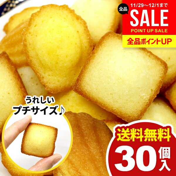 【メール便】 送料無料 スイーツ ギフト お菓子 洋菓子 焼き菓子 プチ フィナンシェ マドレーヌ 2種 計..