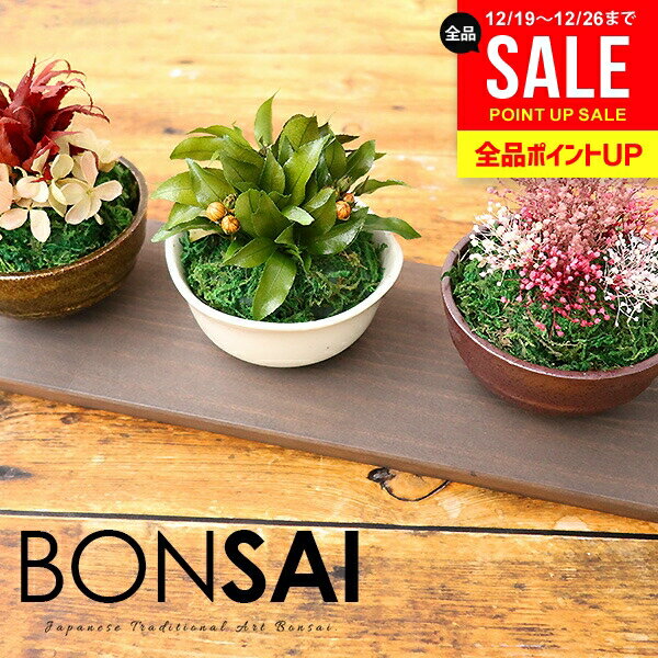 【枯れないプリザ盆栽・専用トレイ付き】送料無料 盆栽 お歳暮 ギフト 誕生日 プレゼント 枯れないミニ盆栽3点セット プリザーブド プリザ 花 苔玉 小盆栽 和風 もみじ 簡単 ボンサイ インテリア 雑貨 おしゃれ かわいい (あす楽)