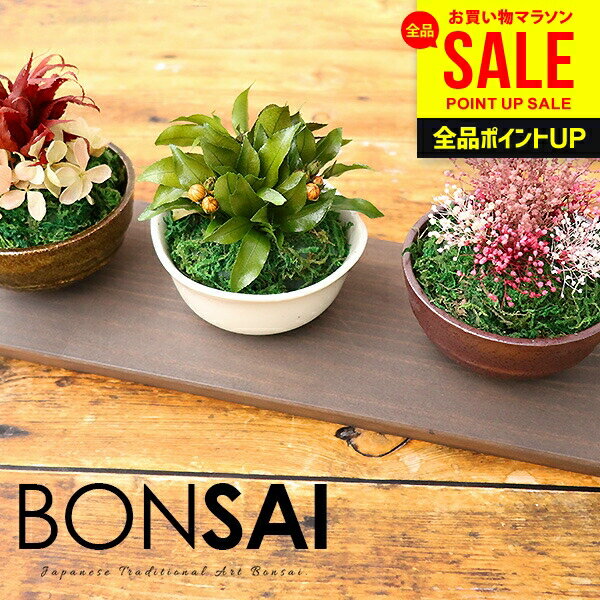 【枯れないプリザ盆栽・専用トレイ付き】送料無料 盆栽 ギフト 誕生日 プレゼント 枯れないミニ盆栽3点セット プリザーブド プリザ 花 苔玉 小盆栽 和風 もみじ 簡単 ボンサイ インテリア 雑貨 おしゃれ かわいい (あす楽)