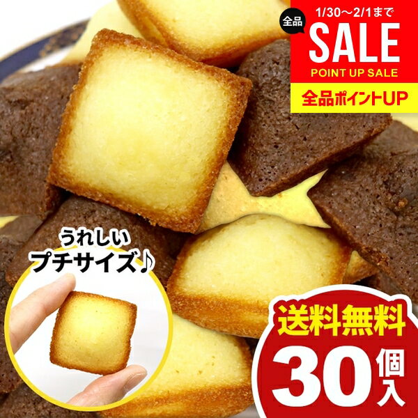 【メール便】 送料無料 スイーツ ギフト お菓子 洋菓子 焼き菓子 プチ フィナンシェ 2種 計30個 セット 詰め合わせ 個包装 訳あり 大容量 1000円 お徳用 ポイント消化 ひとくちサイズ 簡易包装 おやつ デザート お礼 パーティー 食品 食べ物 【のし・包装不可】 (あす楽)
