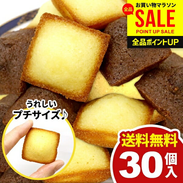 【メール便】 送料無料 スイーツ お菓子 洋菓子 焼き菓子 プチ フィナンシェ 2種 計30個 セット 詰め合わせ 個包装 訳あり 大容量 1000円 お徳用 ポイント消化 ひとくちサイズ 簡易包装 おやつ デザート お礼 パーティー 食品 食べ物 【のし・包装不可】 (あす楽)