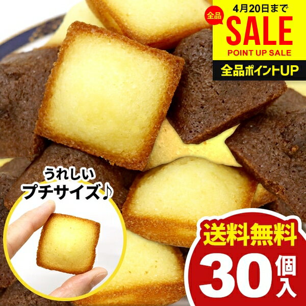 【メール便】 送料無料 スイーツ お菓子 洋菓子 焼き菓子 プチ フィナンシェ 2種 計30個 セット 詰め合わせ 個包装 訳あり 大容量 1000円 お徳用 ポイント消化 ひとくちサイズ 簡易包装 おやつ デザート お礼 パーティー 食品 食べ物 【のし・包装不可】 (あす楽)