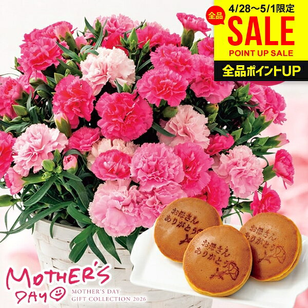 樂天商城 - 母の日 早割 プレゼント 花 ギフト カーネーション 鉢植え 花鉢 鉢花 生花 花と スイーツ セット 5号鉢 ピンク ホットハート ホシファーム 徳島なると金時のどら焼き 詰め合わせ お菓子 和菓子 個包装 食品 母の日ギフト2026 送料無料 おしゃれ かわいい 人気 FMQ-05C